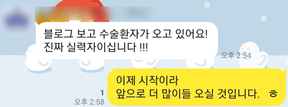강남 얼굴 수술 전문 병원 블로그 관련 자료 화면