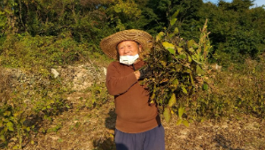 산골 콩밭에서 일하는 할아버지를 담은 두유 감성 마케팅 연출 장면