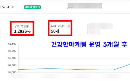 파트너 병원 블로그 지수와 방문자 데이터 비교 화면