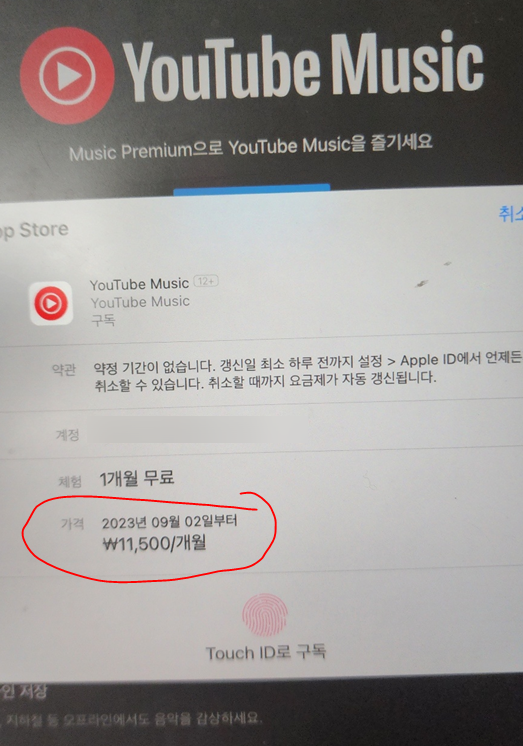 아이패드로 유튜브 뮤직 가입 시 11,500원이 표시된 화면